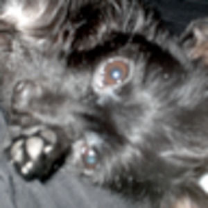 Meet your Posher, Stacee